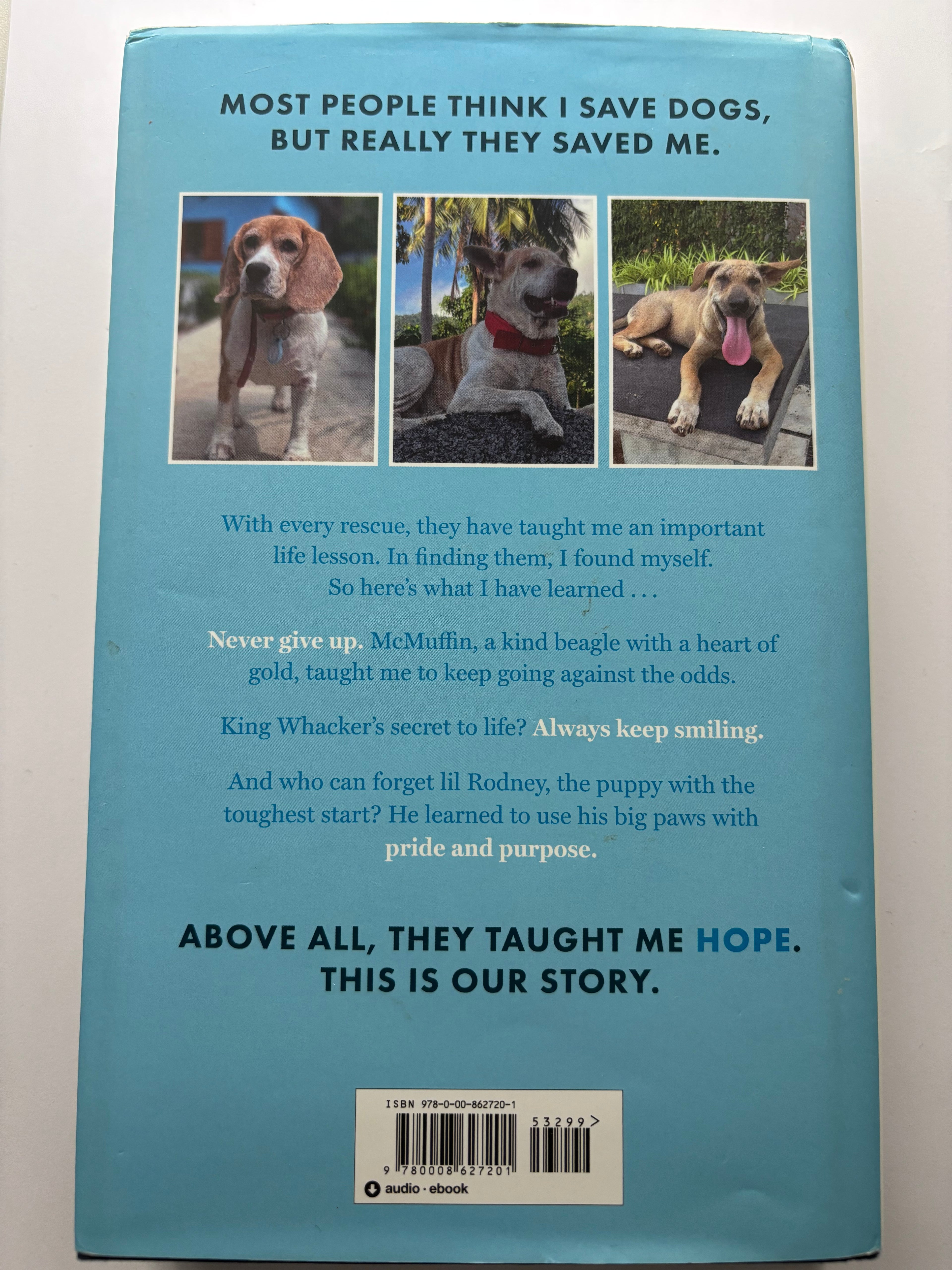 Hope by Niall Harbison