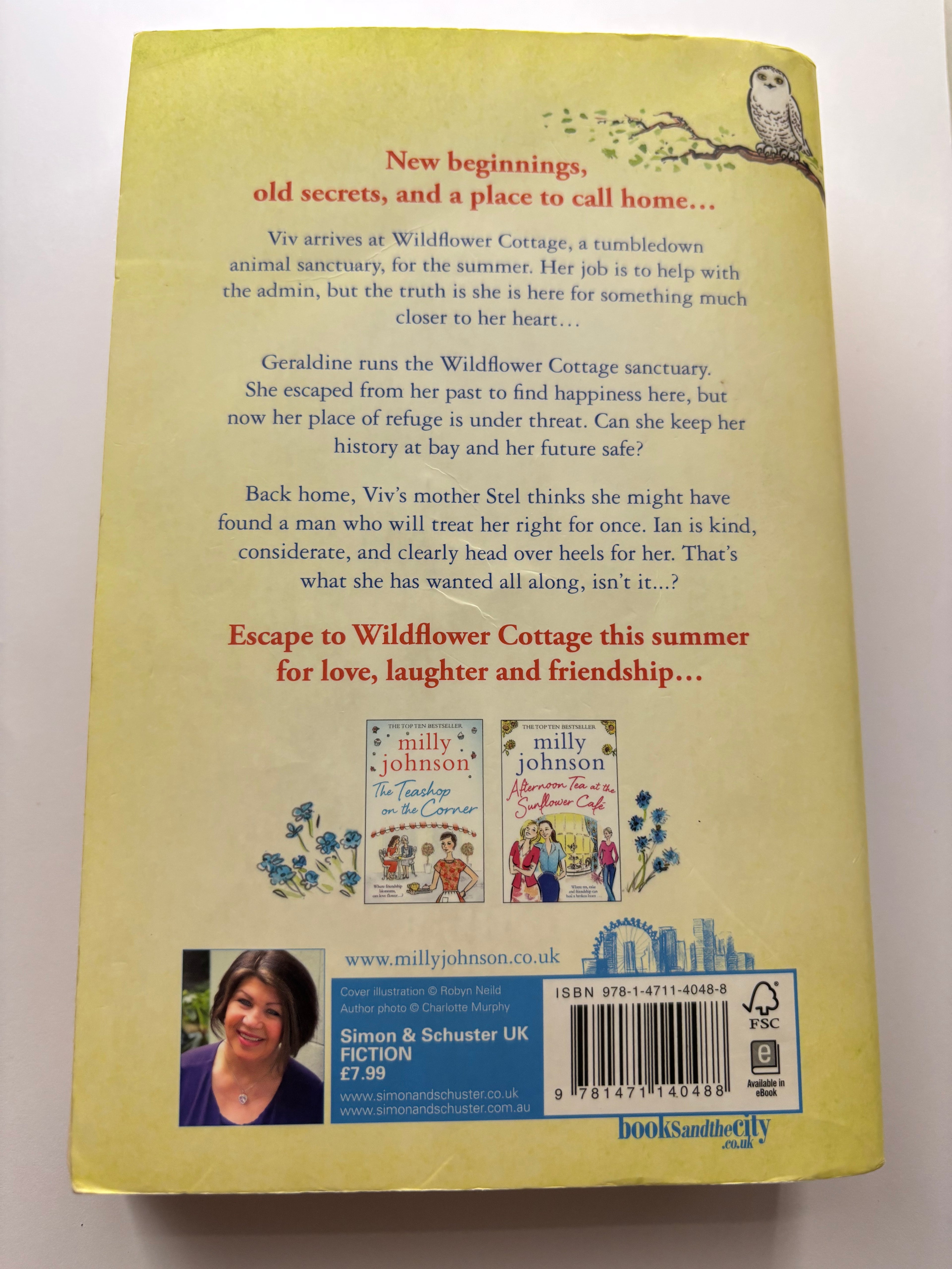 Sunshine over Wildflower Cottage by Milly Johnson