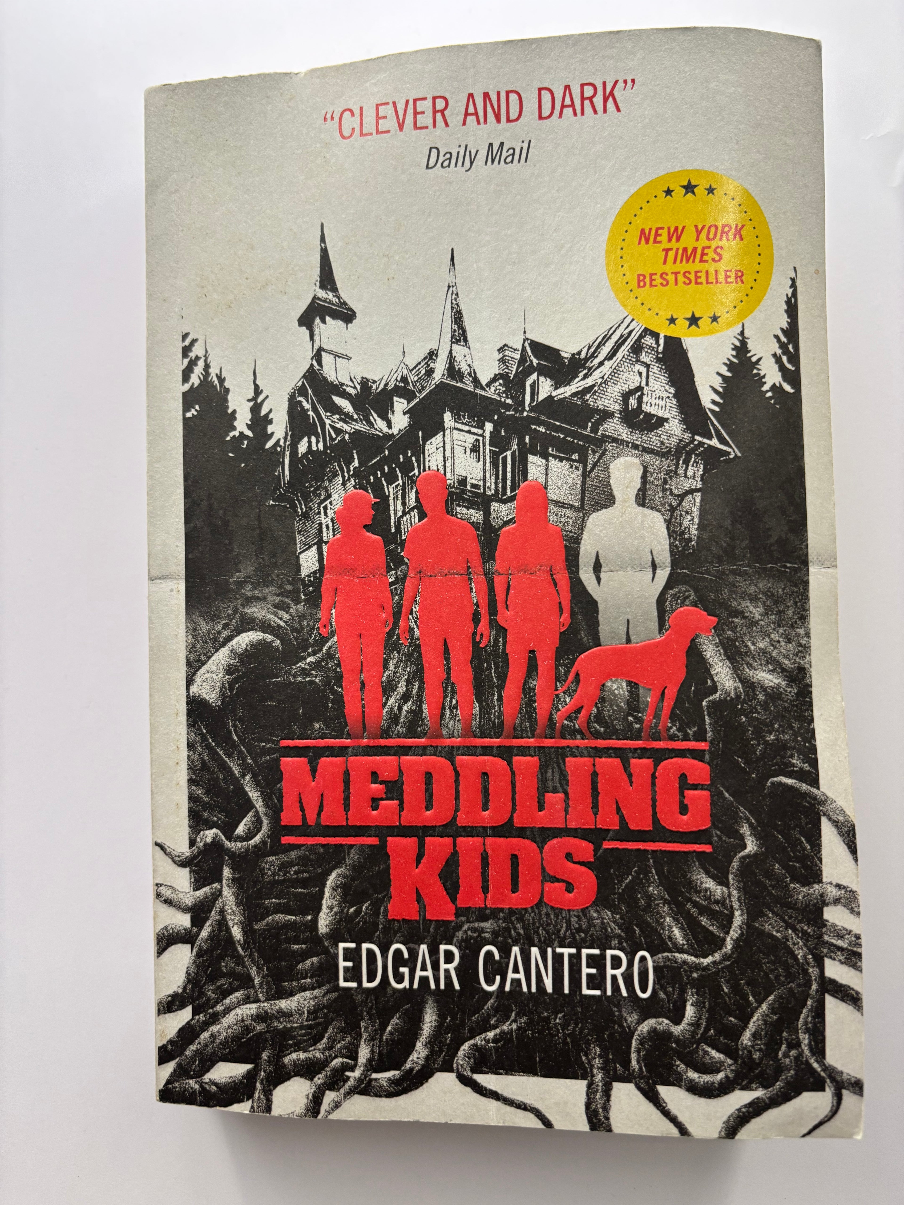 Meddling Kids by Edgar Cantero