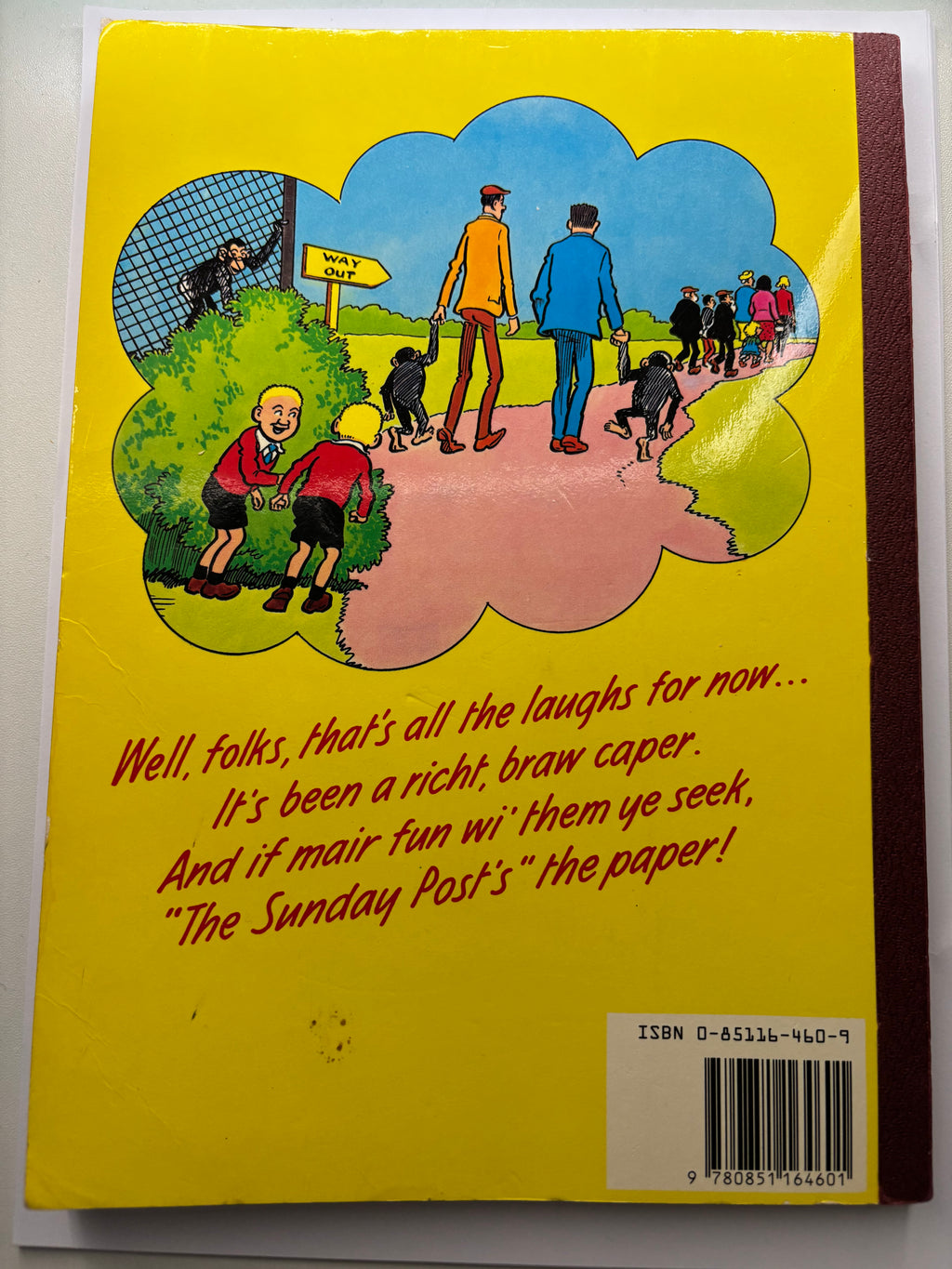 The Broons 1989 edition