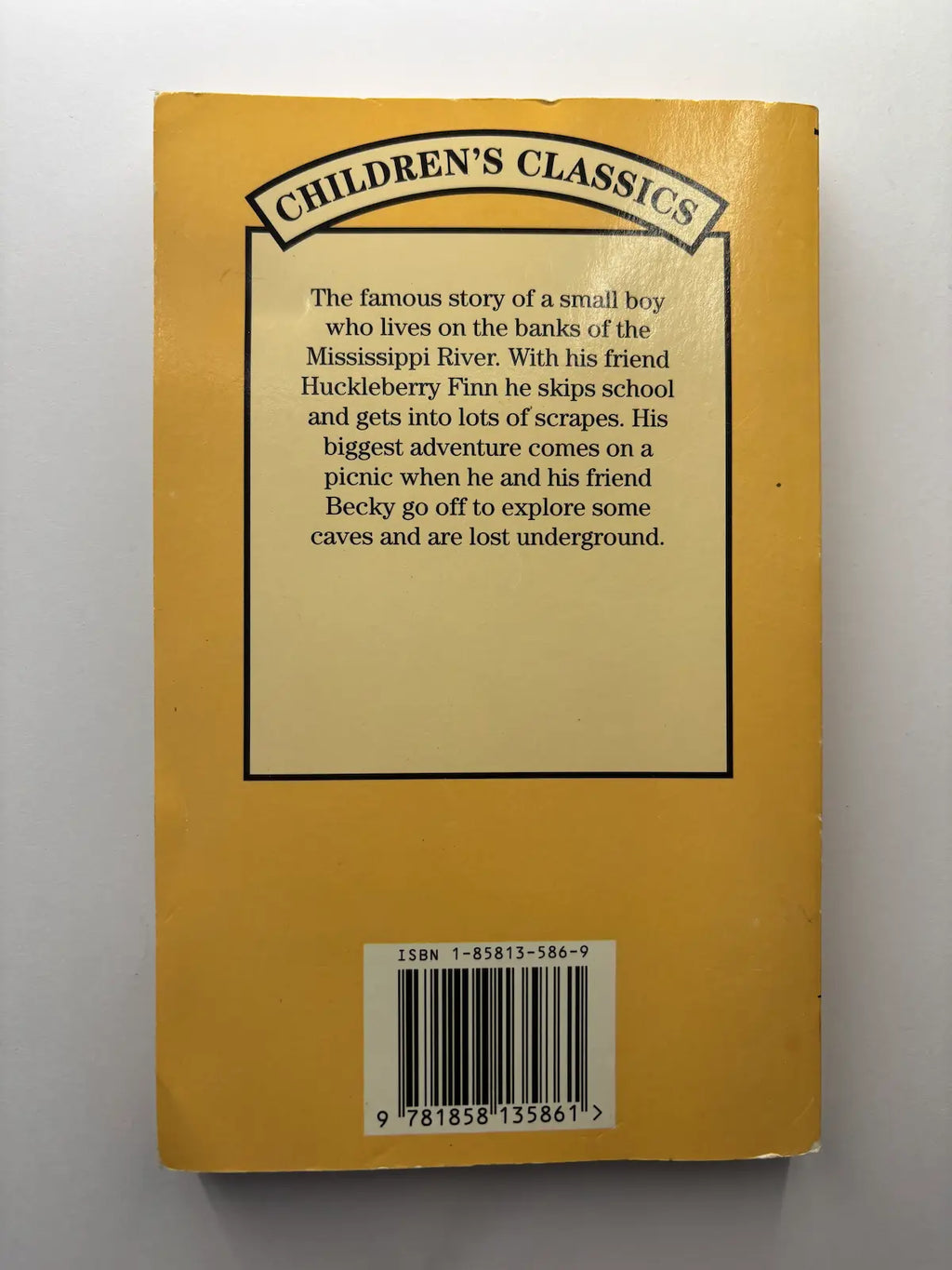 The Adventures of Tom Sawyer by Mark Twain children's book back cover description UK