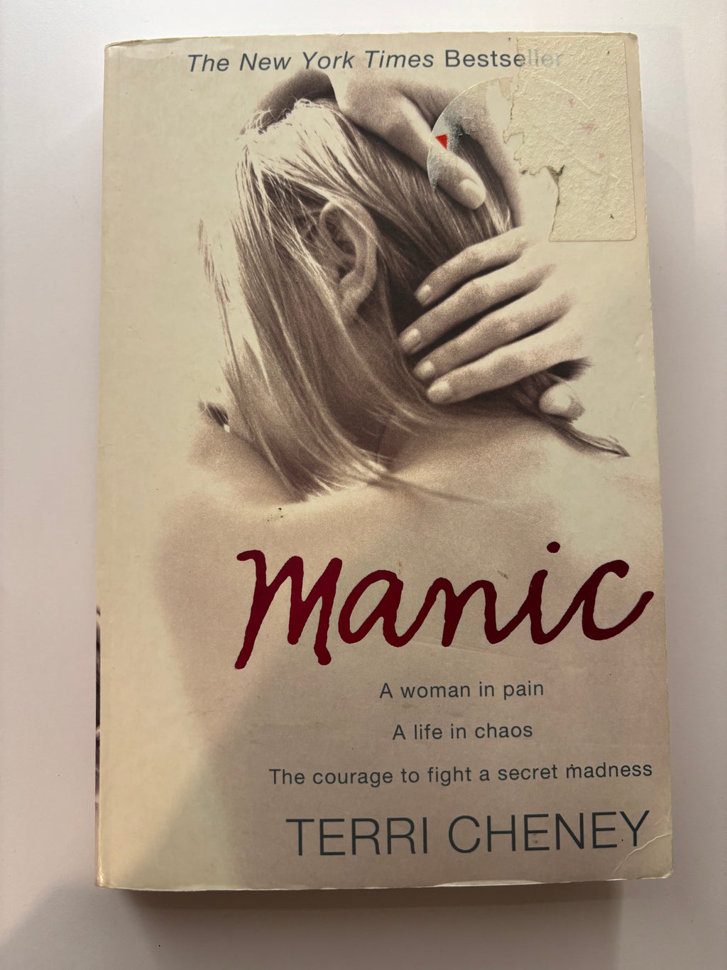 Manic by Terri Cheney