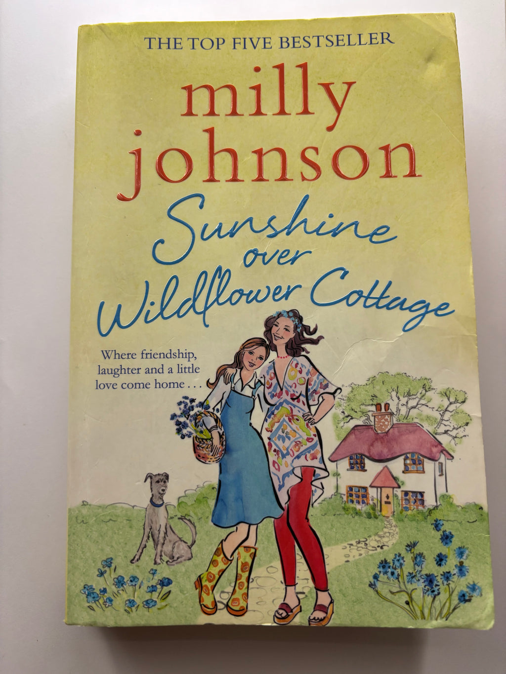 Sunshine over Wildflower Cottage by Milly Johnson