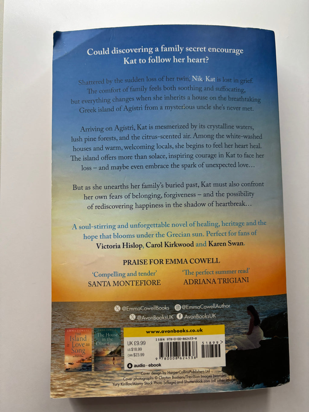 Under the Lemon Tree by Emma Cowell fiction book back cover description UK