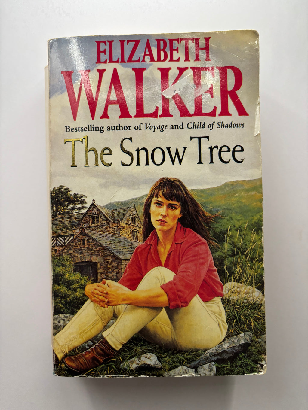 The Snow Tree by Elizabeth Walker historical fiction book front cover UK