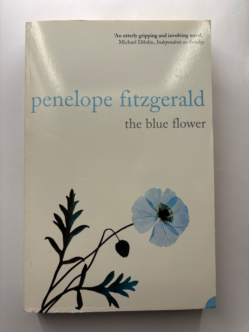 The Blue Flower by Penelope Fitzgerald historical fiction book front cover UK