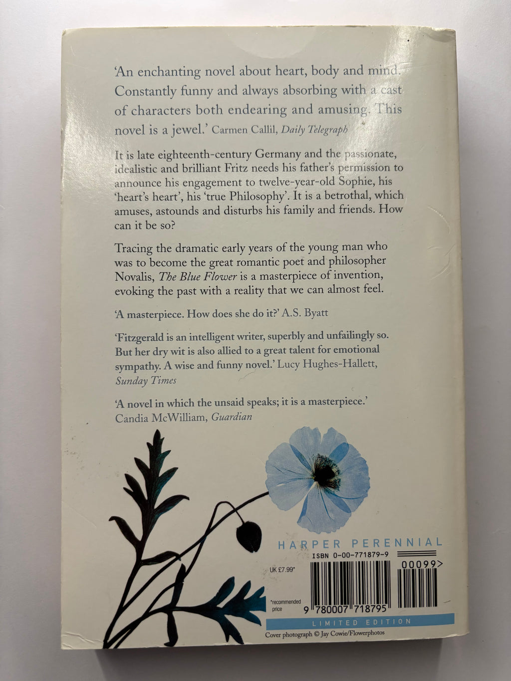 The Blue Flower by Penelope Fitzgerald historical fiction book back cover description UK