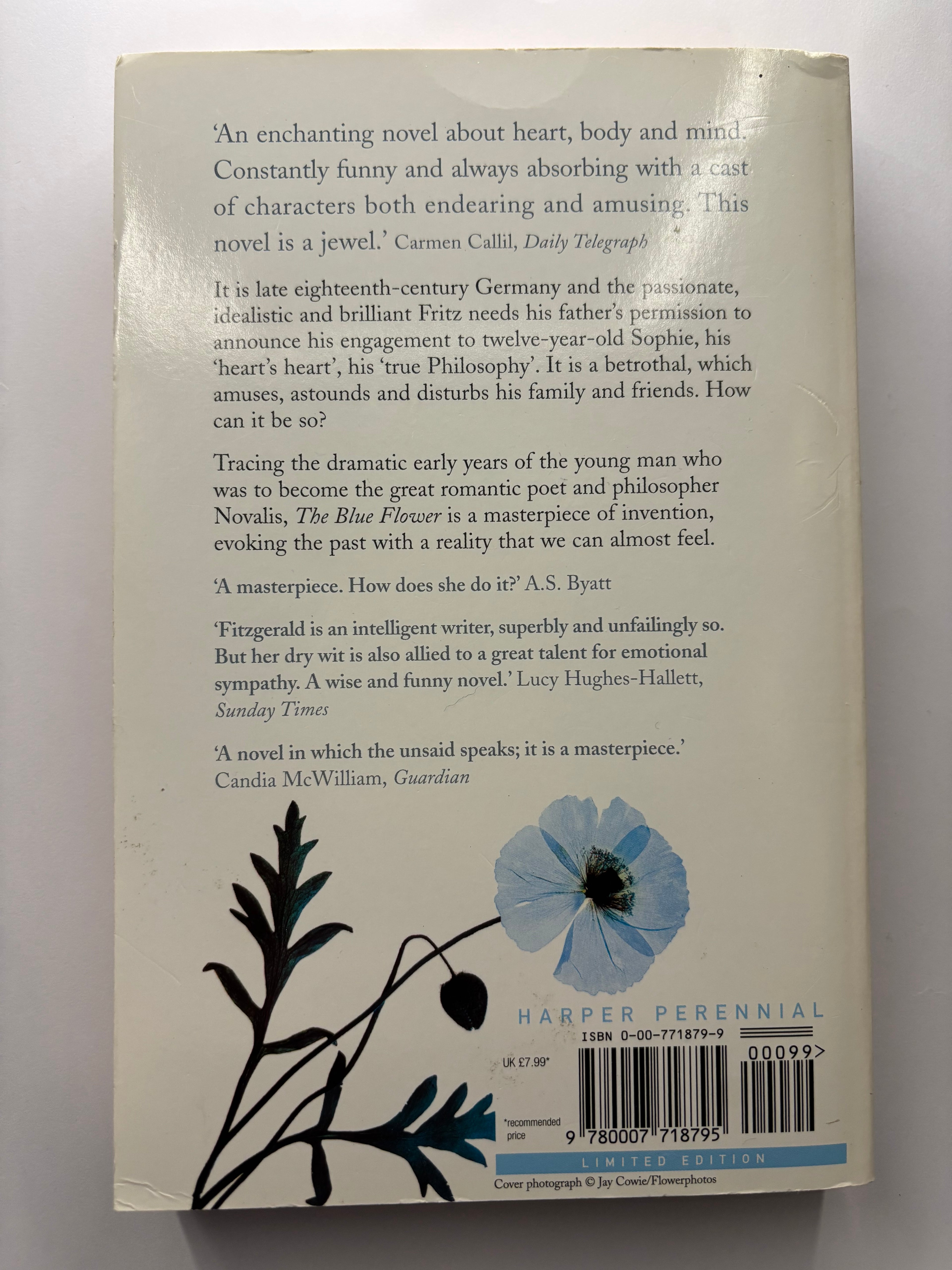 The Blue Flower by Penelope Fitzgerald historical fiction book back cover description UK