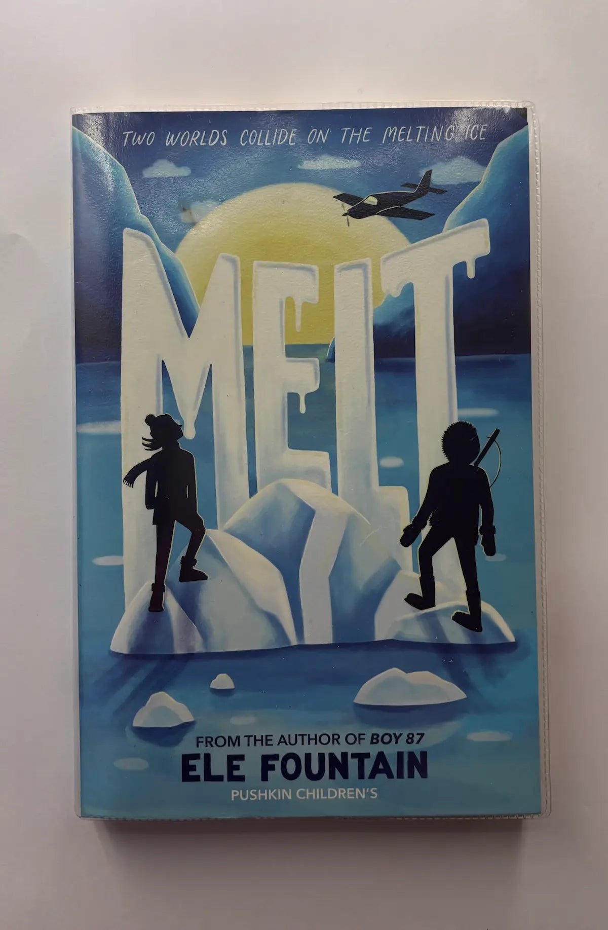 Melt by Ele Fountain Children's book front cover UK