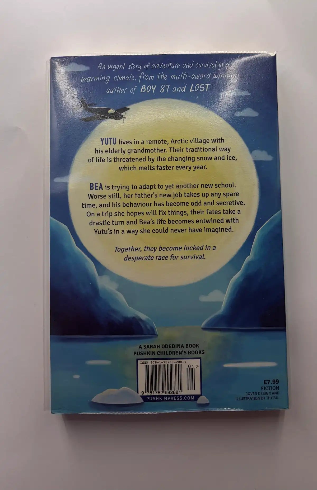 Melt by Ele Fountain children's book back cover description UK