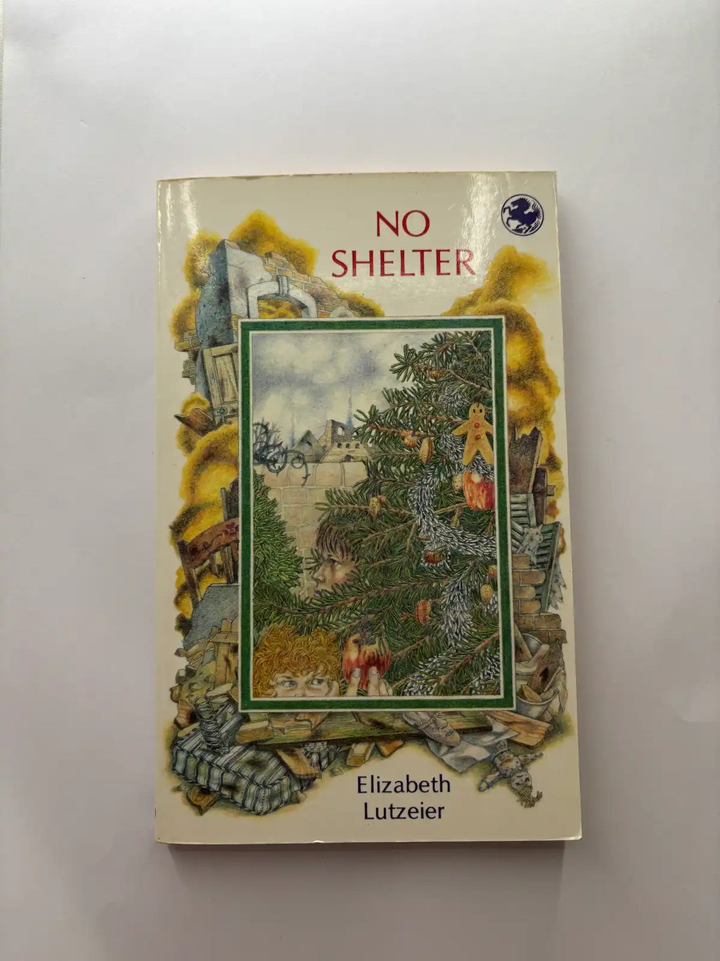 No Shelter by Elizabeth Lutzeier children's book front cover UK